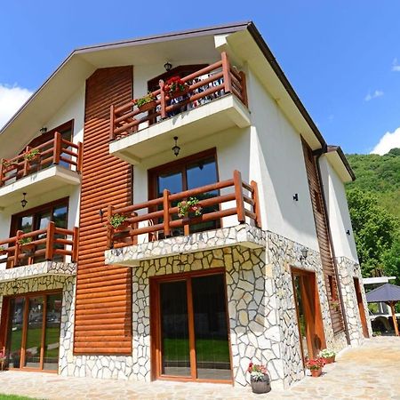 Villa 'Iva' Маврово Экстерьер фото