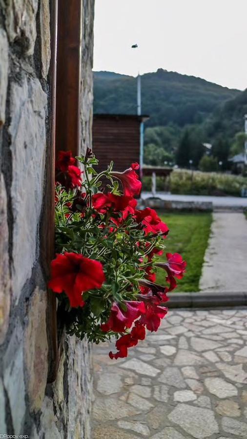 Villa 'Iva' Маврово Экстерьер фото